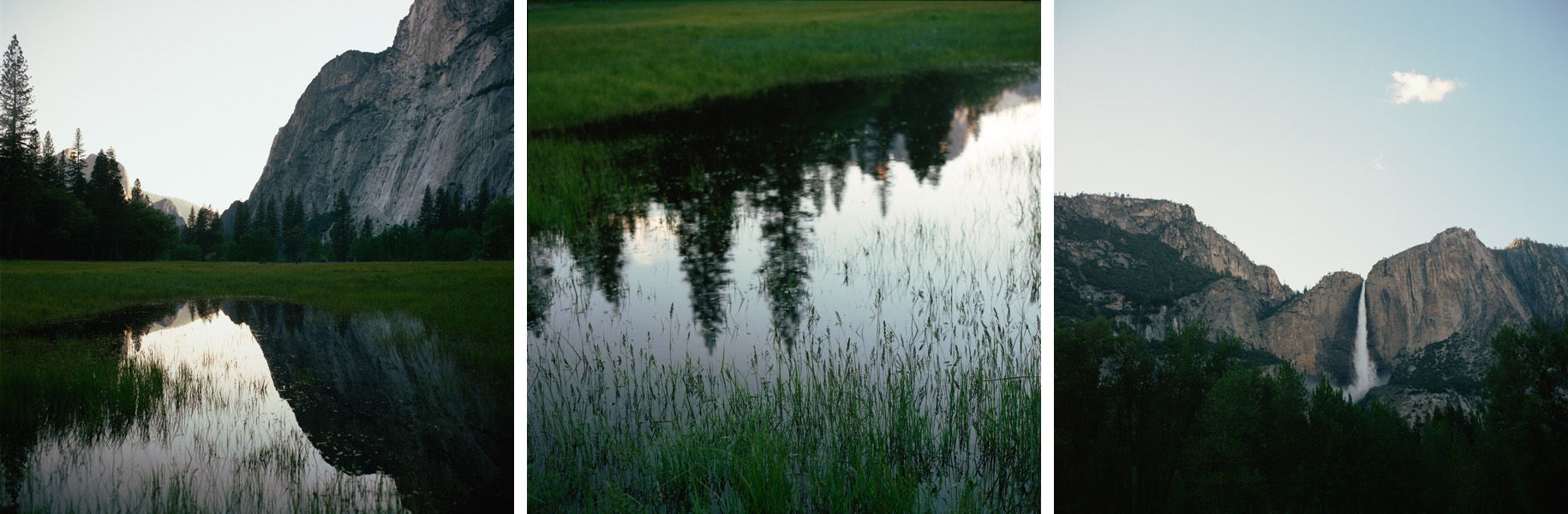 Cook's Meadow